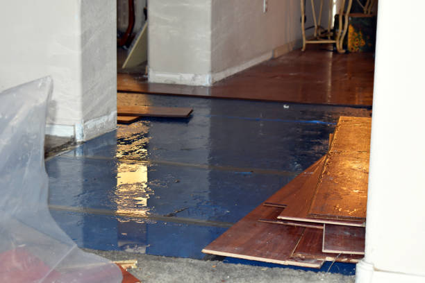 Professional Flood Damage Repair technician working in Carsonville, MI